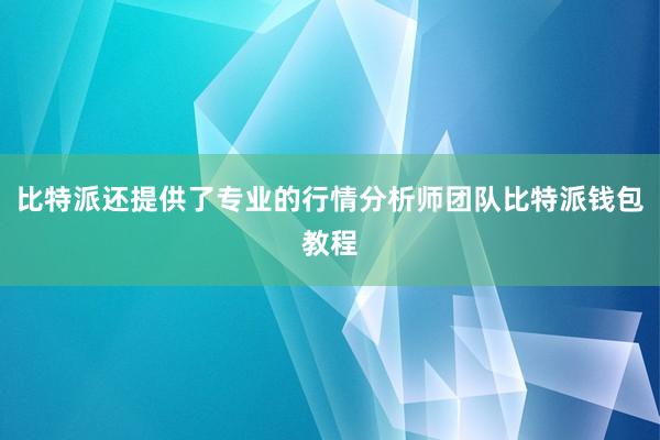 比特派还提供了专业的行情分析师团队比特派钱包教程