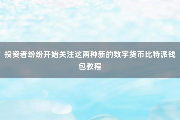 投资者纷纷开始关注这两种新的数字货币比特派钱包教程