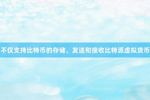 不仅支持比特币的存储、发送和接收比特派虚拟货币