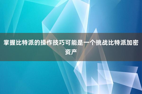 掌握比特派的操作技巧可能是一个挑战比特派加密资产