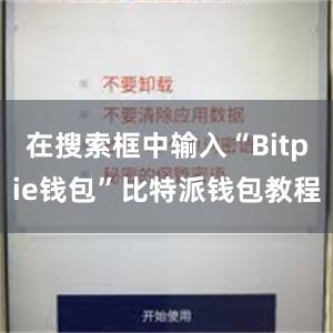 在搜索框中输入“Bitpie钱包”比特派钱包教程