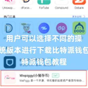 用户可以选择不同的操作系统版本进行下载比特派钱包教程